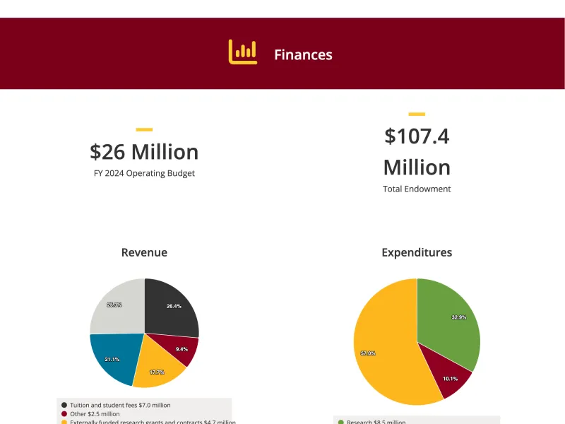 The finances section of the Facts and Figures page.